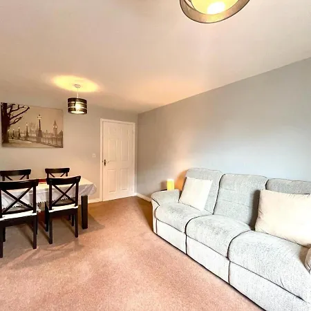 October Disc - Long - Contractors Apartamento *